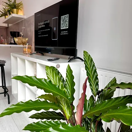 Apartament A85 Centre, Free Parking *